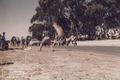 Thumbnail for version as of 09:08, 13 October 2025