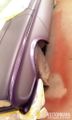 Thumbnail for version as of 08:47, 11 March 2017