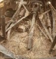 Thumbnail for version as of 09:08, 13 October 2025