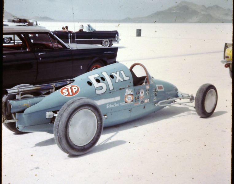 File:Fred-lobello-bellytank-lady-bug3.jpg