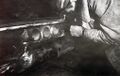 Thumbnail for version as of 02:19, 7 January 2026